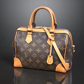 Sorry, the picture mainly shows a handbag and does not contain food-related information, so it is impossible to generate an English title with "food" as the main body based on the picture.