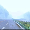Scenic Winding Forest Road Through Tall Pine Trees And Green Hills Under Bright Blue Sky