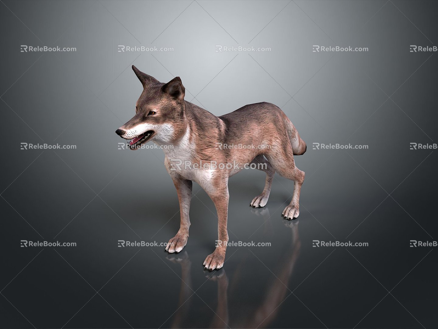 Wolf Cartoon Wolf Animation Wolf Animation Wolf Wolf Big Bad Wolf Wolf Warrior Cartoon Character Cartoon Animal 3d model