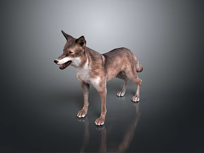 Game Movie Wolf Character Standing On Gray Background Reflective Surface 3d model
