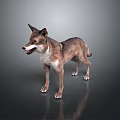 Game Movie Wolf Character Standing On Gray Background Reflective Surface 3d model