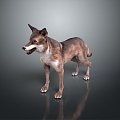 Wolf Cartoon Wolf Animation Wolf Animation Wolf Wolf Big Bad Wolf Wolf Warrior Cartoon Character Cartoon Animal 3d model