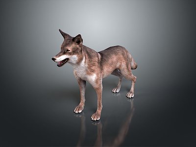 Wolf Cartoon Wolf Animation Wolf Animation Wolf Big Bad Wolf Warrior Cartoon Character Cartoon Animal 3d model