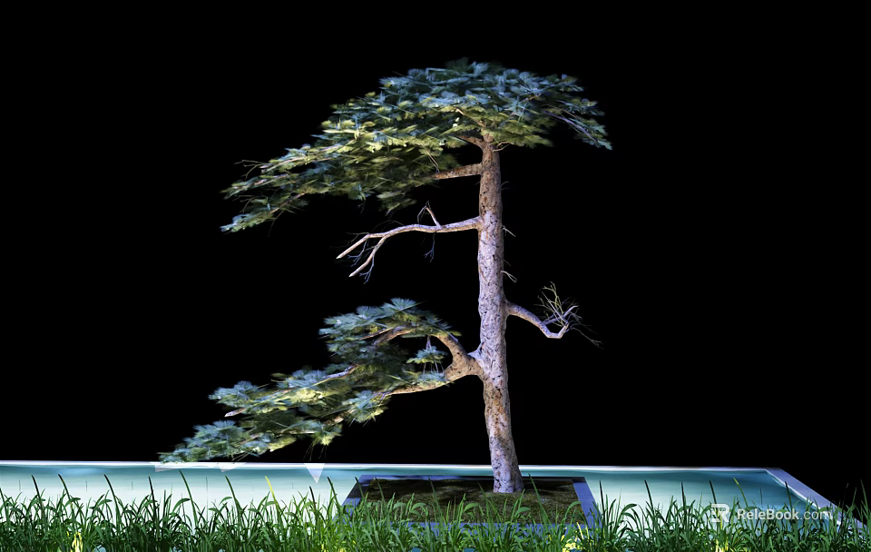 Artistic Bonsai Arbor With Shaped Branches And Green Grass On Platform 3d model 