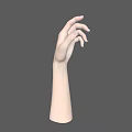 Realistic Human Hand and Arm with Slightly Curved Fingers Against Gray Background