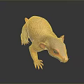 Orange Yellow Mythical Creature 3D Render With Sharp Claws And Pointed Nose