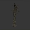 Dry Tree with Rough Trunk and Leafless Branches Standing Against White Background