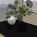 Modern Vase Green Plant Venetian Blinds 3d model