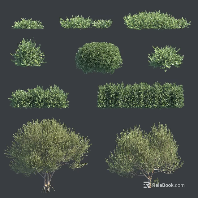 Various Green Shrubs And Plants With Different Shapes For Garden Landscaping 3d model 
