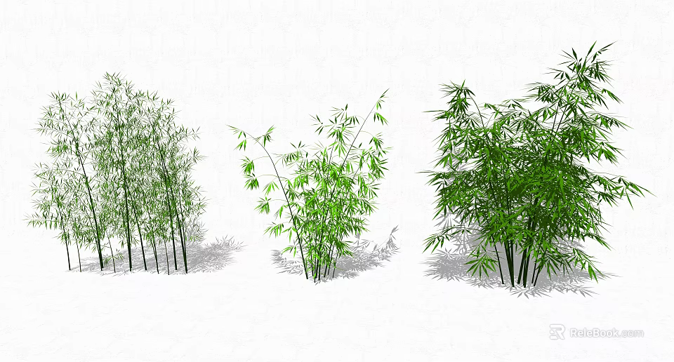 Varieties Of Bamboo Plants With Green Foliage 3d model 