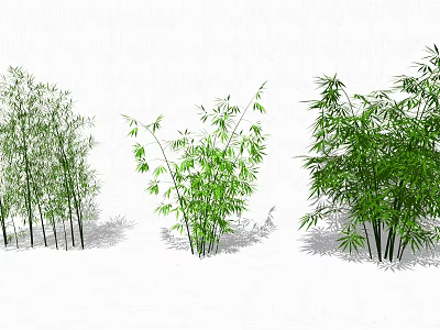 Varieties Of Bamboo Plants With Green Foliage 3d model