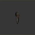 Dinosaur Head Model With Prominent Crest Open Mouth And Detailed Skin Texture