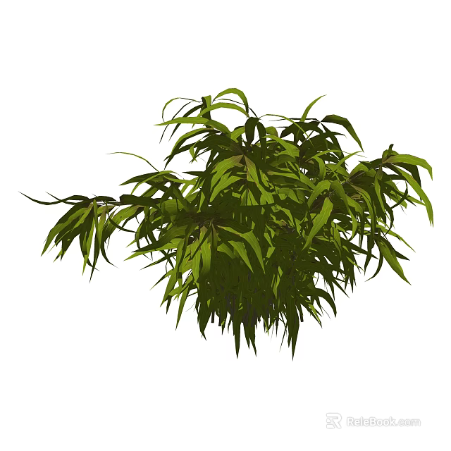 Lush Green Shrub With Dense Foliage Ideal For Garden Landscaping 3d model 
