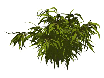 Lush Green Shrub With Dense Foliage Ideal For Garden Landscaping 3d model