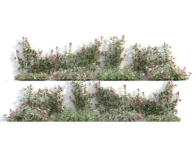 Decorative Vines Growing on White Wall with Red Small Flowers and Green Leaves 3d model