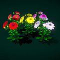 Vibrant Colorful Flowers With Pink Yellow Red Purple White Petals And Green Leaves