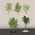 Trees Arbor Landscape Trees Landscape Trees Landscape Trees Landscape Trees Courtyard Landscape Trees 3d model