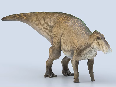 Realistic Dinosaur Model With Textured Skin And Lifelike Standing Posture 3d model