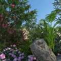 Lush Garden Landscape With Colorful Pink Flowers Green Palms And Natural Rocks