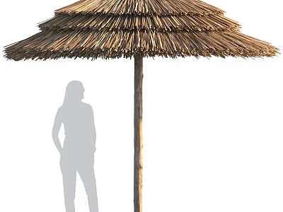 Large Wicker Patio Umbrella With Dual Layer Canopy For Outdoor 3d model