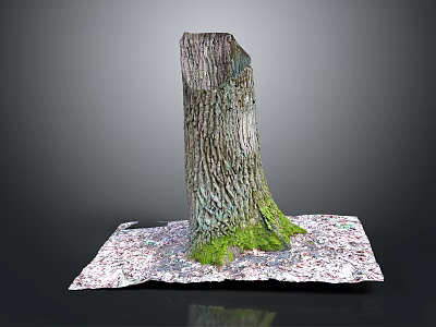 Natural Wood and Stone Tree Stump with Bark Texture and Green Moss on Base 3d model