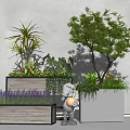 Wooden and White Flower Pots with Lavender Green Plants and Small Trees Interior