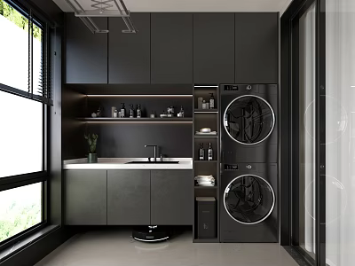 Home Balcony With Black Cabinets Stacked Washer Dryer Window And Storage 3d model