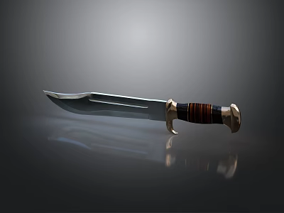 Sharp Metal Dagger With Wooden Handle And Decorative Metal Accents On Dark Surface 3d model