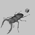 Large Brown Beetle With Antlers Next To Colorful Rubik's Cube On Gray Background