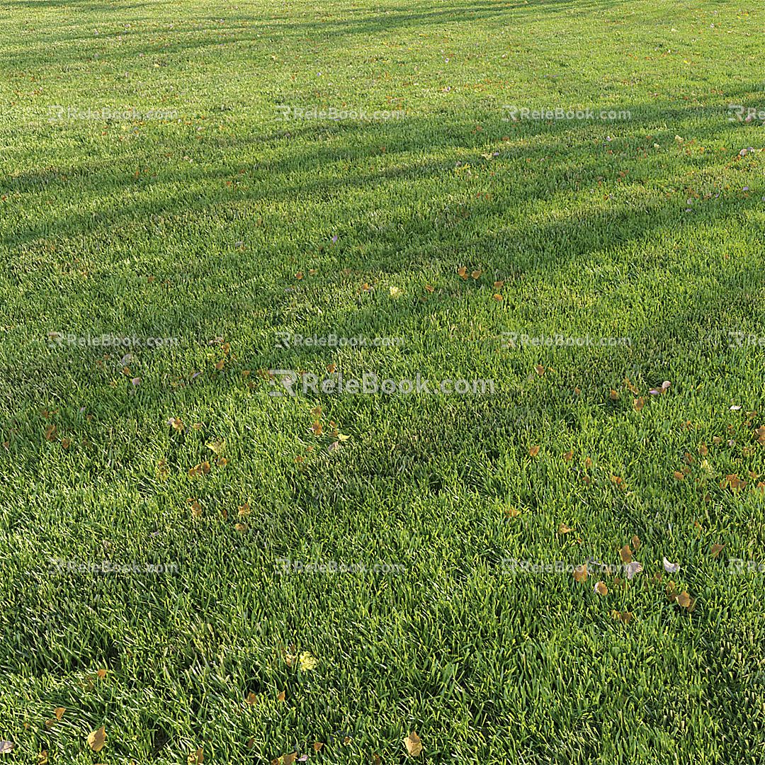 modern lawn grass lawn 3d model