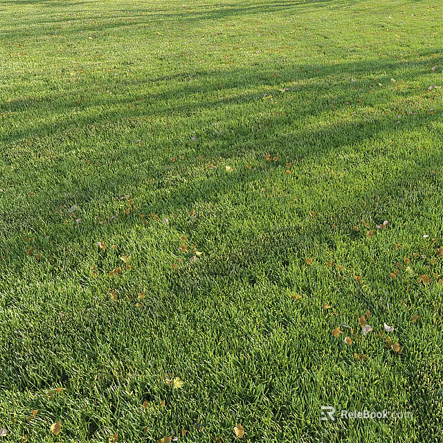Lush Green Grass Lawn With Sunlit Shadows And Scattered Fallen Leaves 3d model 
