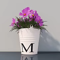 White Bucket Flower Pot With Black Letter M And Purple Flowers On Light Gray Wall