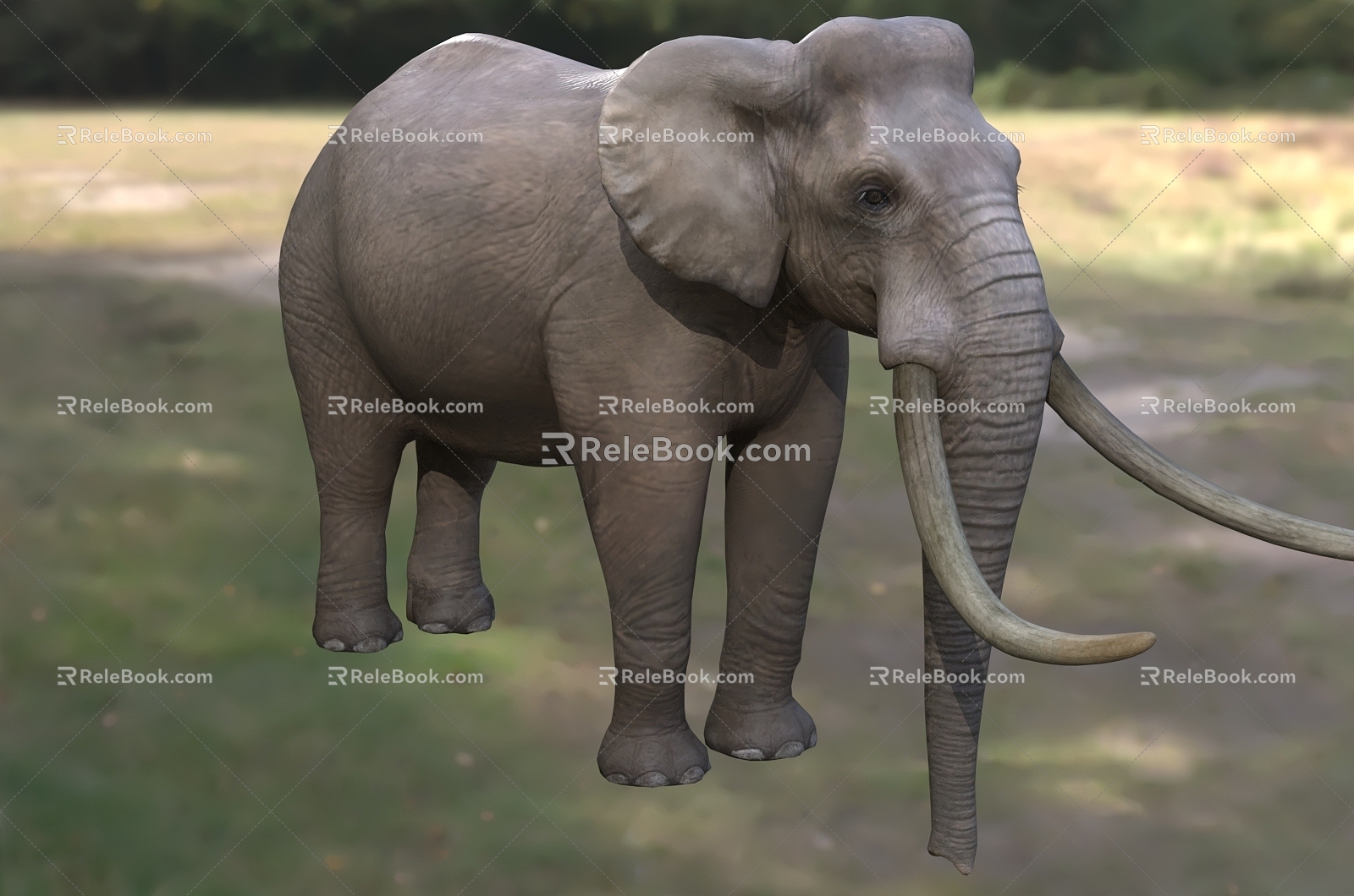 European dwarf elephant Sicily dwarf elephant French ancient rhomboid elephant French Asian elephant elephant wild animal 3d model