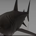 Realistic Brown Shark Model With Open Mouth Sharp Teeth And Textured Fins