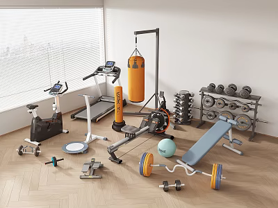 Complete Home Gym Fitness Equipment With Treadmill Exercise Bike Punching Bag Dumbbells And Ab Bench 3d model
