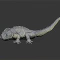 Realistic Gray Lizard 3D Model With Detailed Scales And Long Tail 3d model