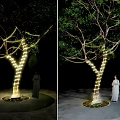 Decorative String Lights Wrapped Around Tree for Day and Night Ambiance