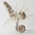 Minimalist Transparent Glass Vase With White Flowers And Dried Feathery Branches