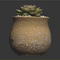Succulent Plant in Yellow Ceramic Pot with Painted Red Flowers Green Leaves and White Pebbles