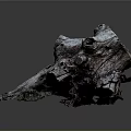 Detailed Ancient Tree Stump with Natural Holes and Textured Grayish Brown Surface