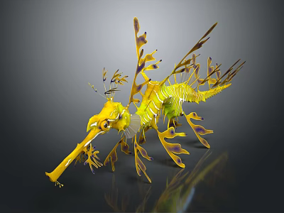 Yellow and Green Sea Dragon With Leaf Like Appendages And Slender Body 3d model Yellow and Green Sea Dragon With Leaf Like Appendages And Slender Body 3d model