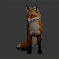 Realistic Red Fox With Orange Fur White Tipped Tail Black Legs Standing On Gray Background