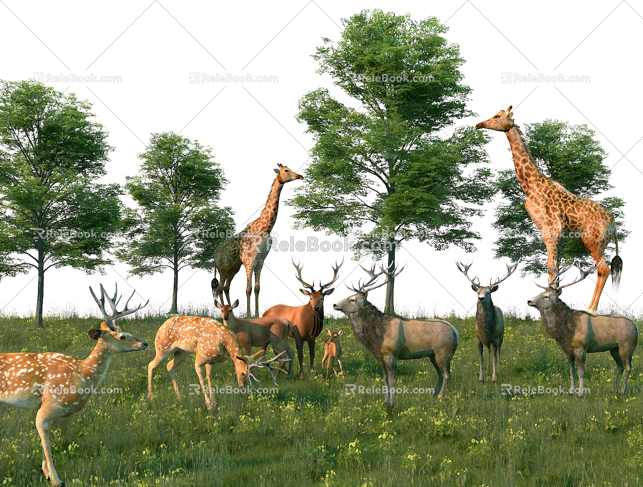 Modern Deer 3d model