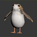 Cute Bird with Big Eyes Orange Head and White Body Standing on Dark Background