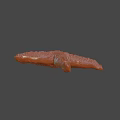 Orange Textured Starfish With Detailed Surface And Marine Life Features