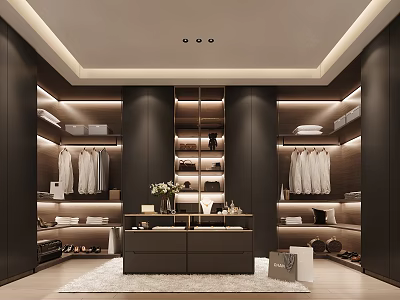 Modern Dark Walk in Closet Interior With Hanging Clothes Shelves Island And Lighting 3d model