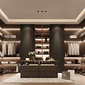 Modern Dark Walk in Closet Interior With Hanging Clothes Shelves Island And Lighting