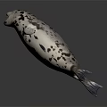 Spotted Seal With Open Mouth Floating In Dark Background 3D Rendering