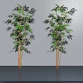 Indoor Bamboo Plants with Green Leaves and Yellow Stems Against Gray Wall and Reflective Floor