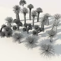 Various Trees With Green Foliage Different Trunk Shapes and Shadows 3d model